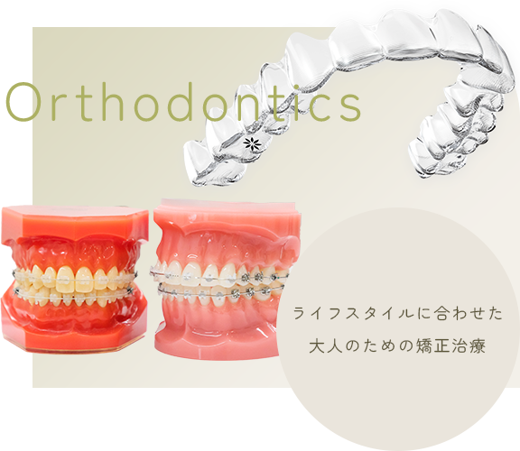 矯正歯科 | Orthodontics | ライフスタイルに合わせた大人のための矯正治療