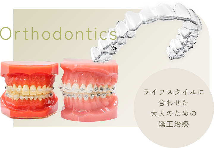 矯正歯科 | Orthodontics | ライフスタイルに合わせた大人のための矯正治療
